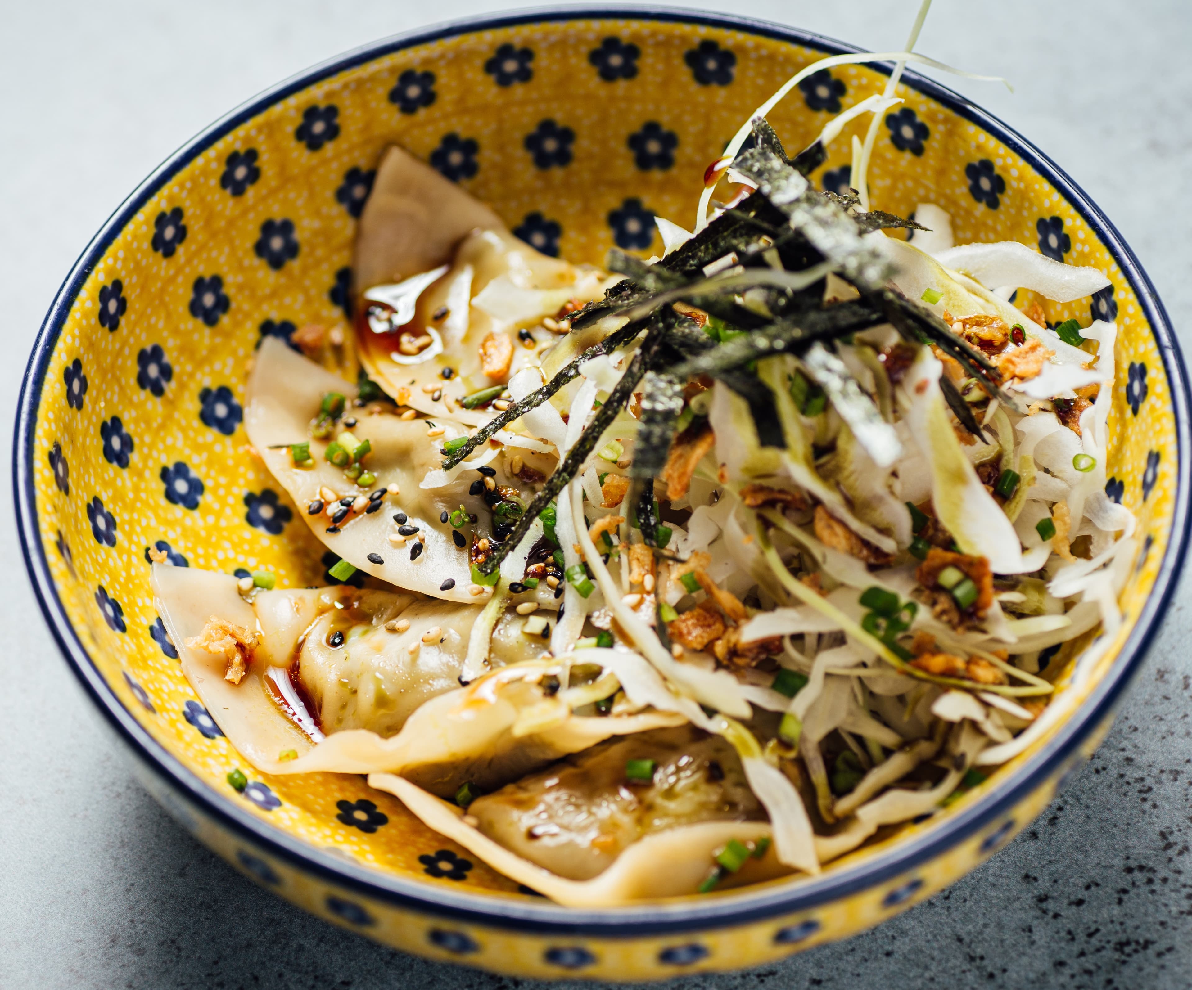 Chicken Dumplings